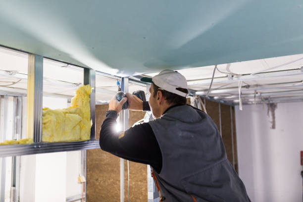 Best Specialized Insulation Services in Paducah, KY